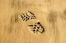 Zapato Huella en la playa