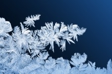 Frost patronen op ramen