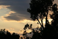 Gilt Cloud At Sunset