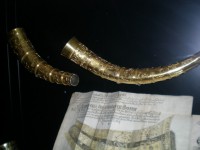 Guld viking horn