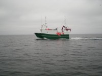 Groene vissersboot