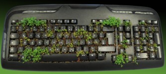 Tastatură verde
