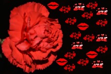 Liebe Rote Herzen Liebe Blumen-Kunst