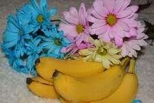 Pink Blue Daisy Banana Fruit