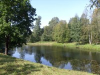 Teich im Dorf Novospasskoye