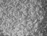 Reis Textur ich