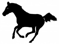 Rennend paard silhouet
