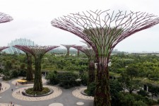 Singapore reusachtige boom tuinen door d