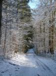 Camino de la nieve