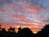 Buikspek oranje zonsondergang wolken