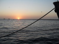Puesta de sol sobre la bahía de Walvis