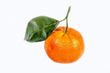 Tangerine with leaf