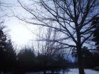 冬の雪の時にキラリと光る日