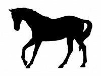 Dravend paard silhouet