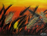 Spighe di grano contro il tramonto