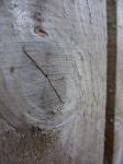 Dřevo obilí a uzel