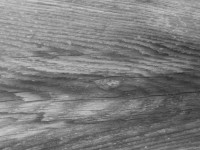 Wood Grain Texture IV