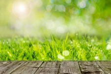 Деревянный пол и зеленая трава