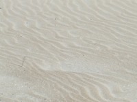 Textura de la arena