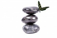 Zen kamienie i motyl