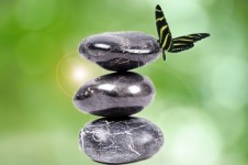 Zen pietre e farfalla