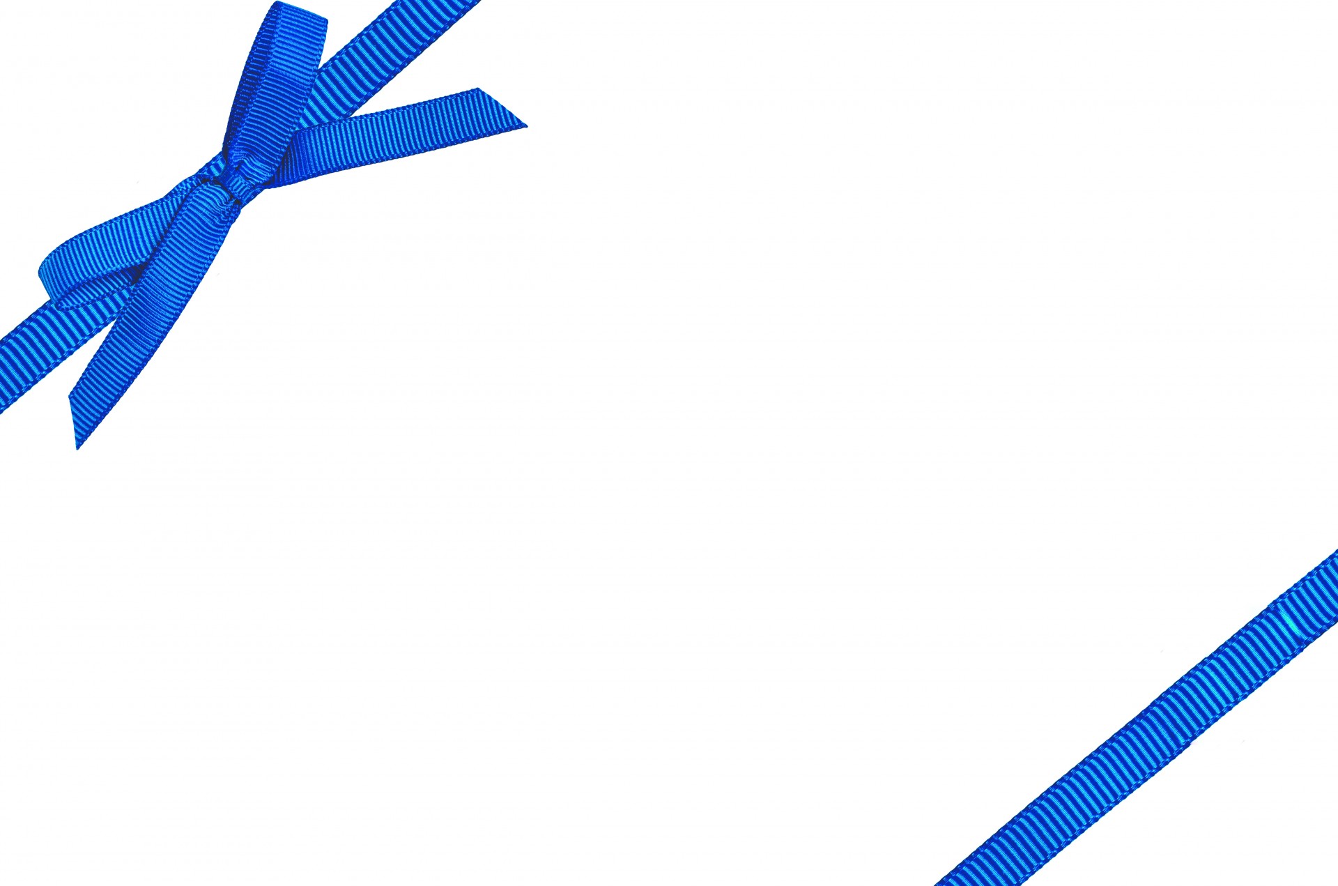 disharmoni Lykkelig strimmel Blue Bow On White Background Free Stock Photo - Public Domain Pictures