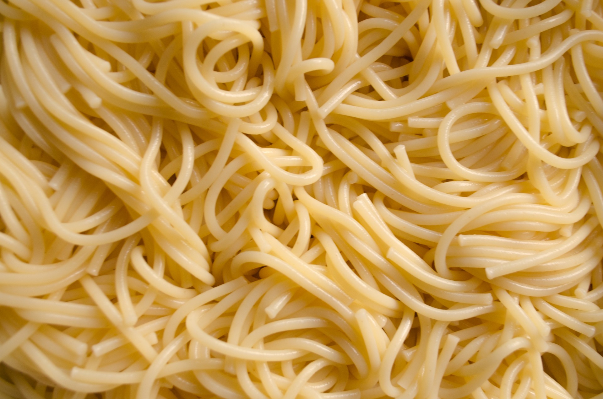 Cooked, Fresh Spaghetti Free Stock Photo - Public Domain Pictures
