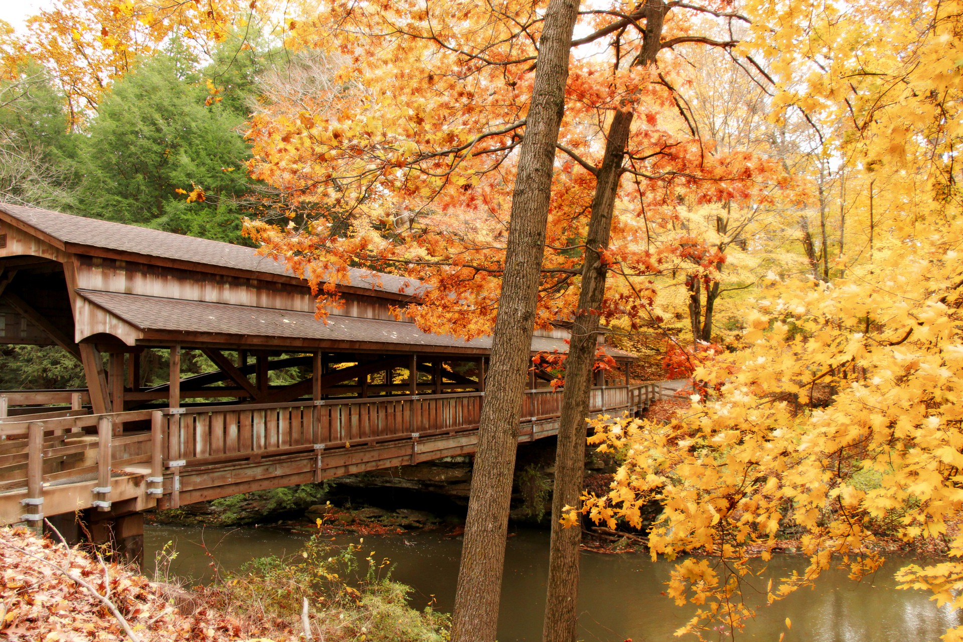 Крытый мост с осенними листьями