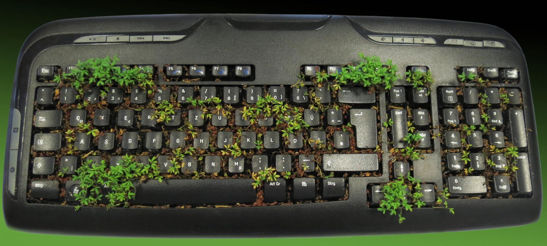 Зеленый клавиатуры