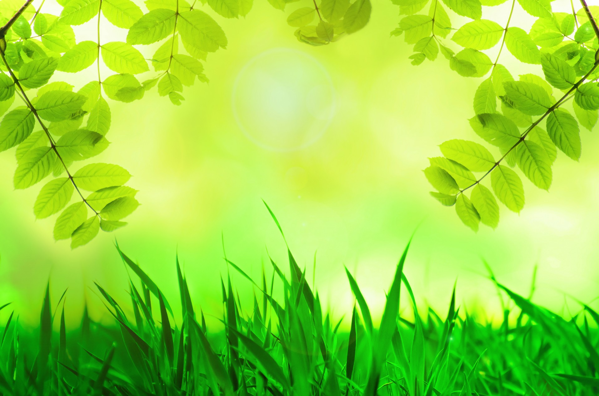 《绿色世界》植物壁纸_风景_太平洋科技