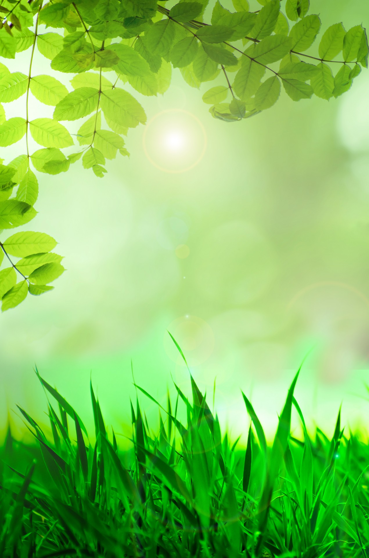 natural-green-background-free-stock-photo-public-domain-pictures