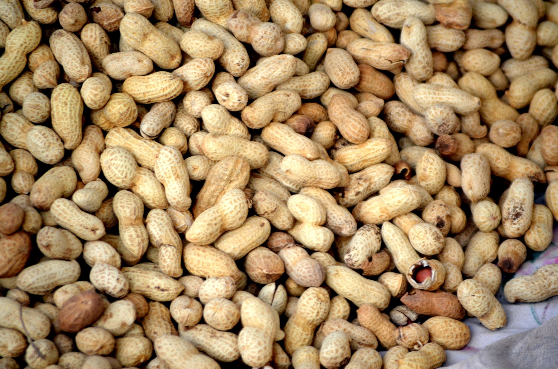 peanuts-free-stock-photo-public-domain-pictures