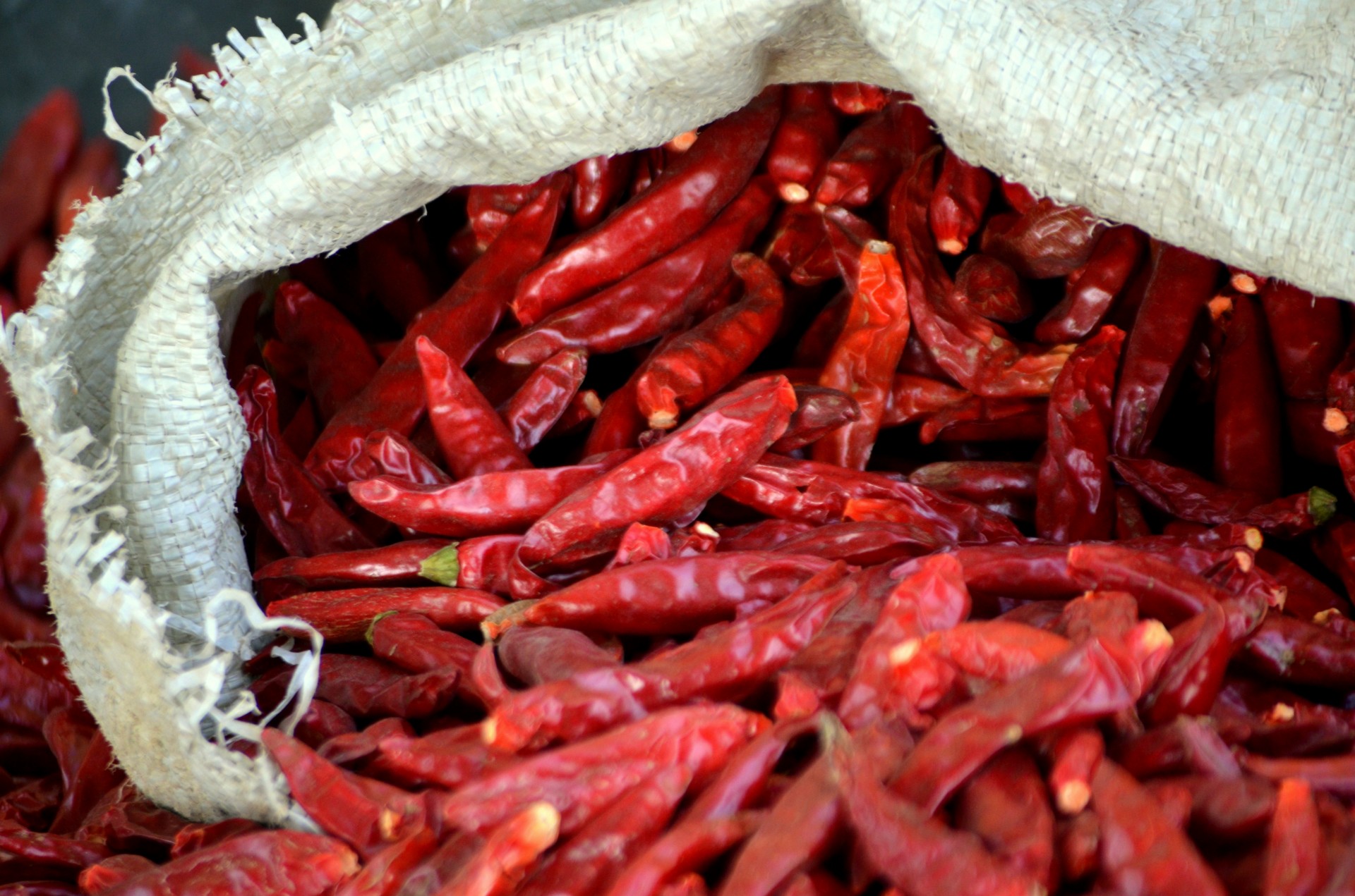 Red Hot Chili Free Stock Photo - Public Domain Pictures