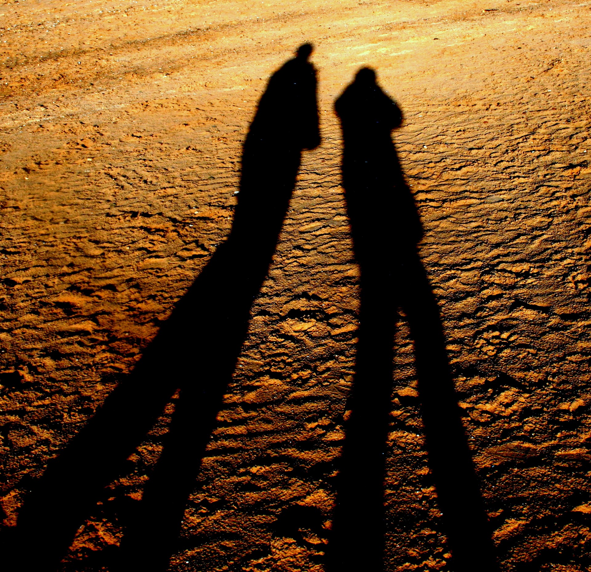 Shadows On A Beach Free Stock Photo - Public Domain Pictures