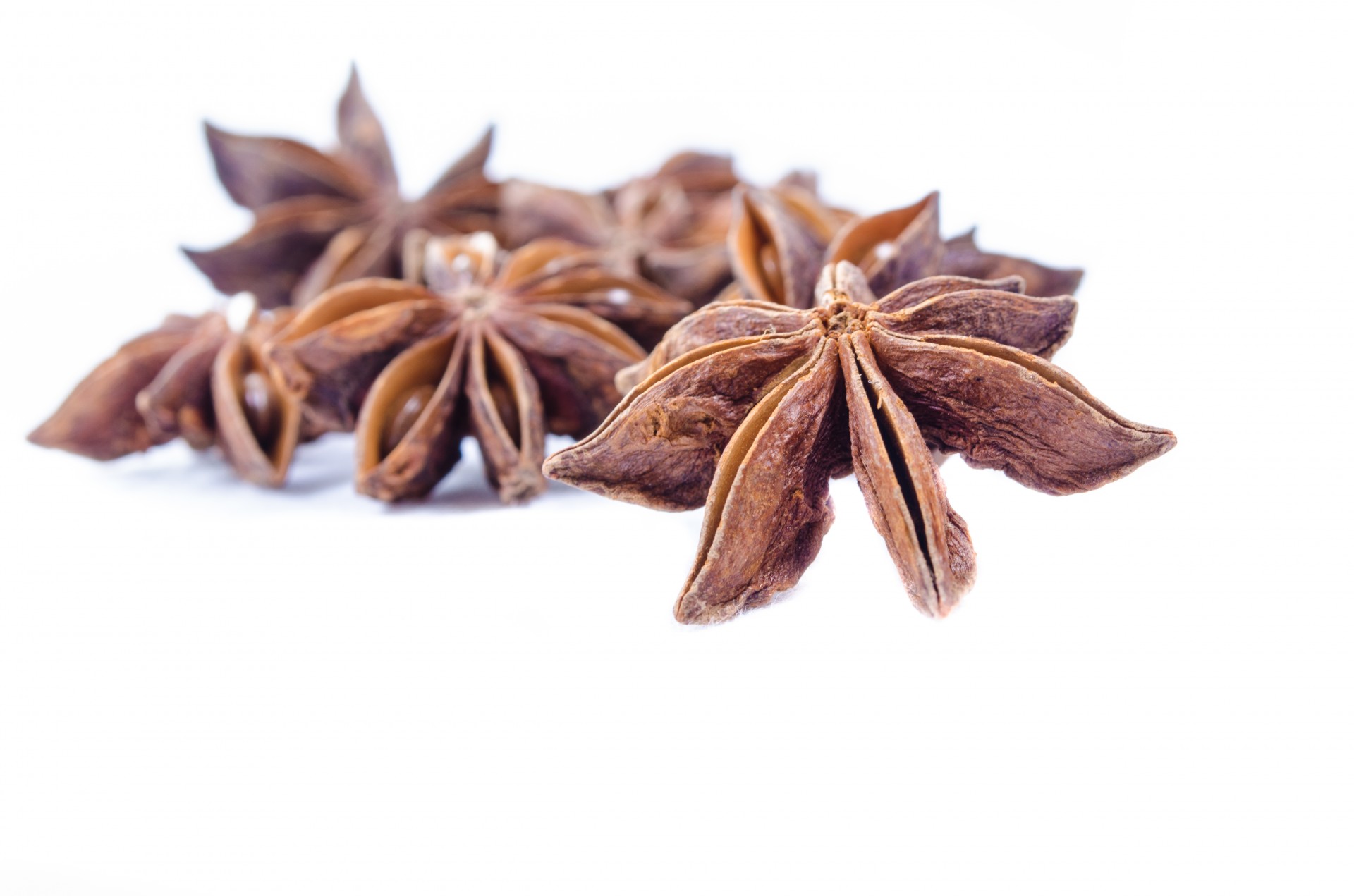 Star Anise Free Stock Photo - Public Domain Pictures