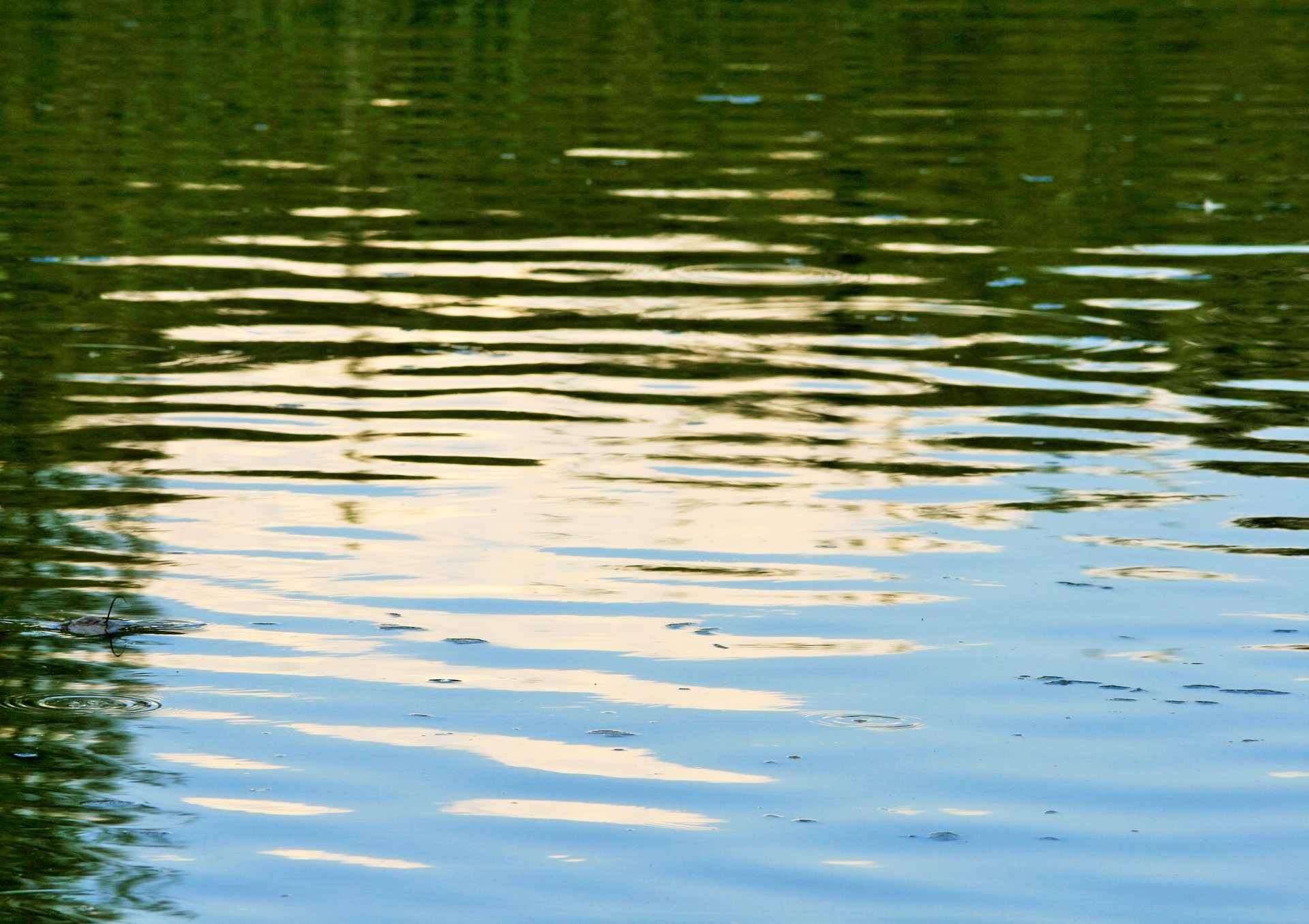Water With Reflections Free Stock Photo - Public Domain Pictures