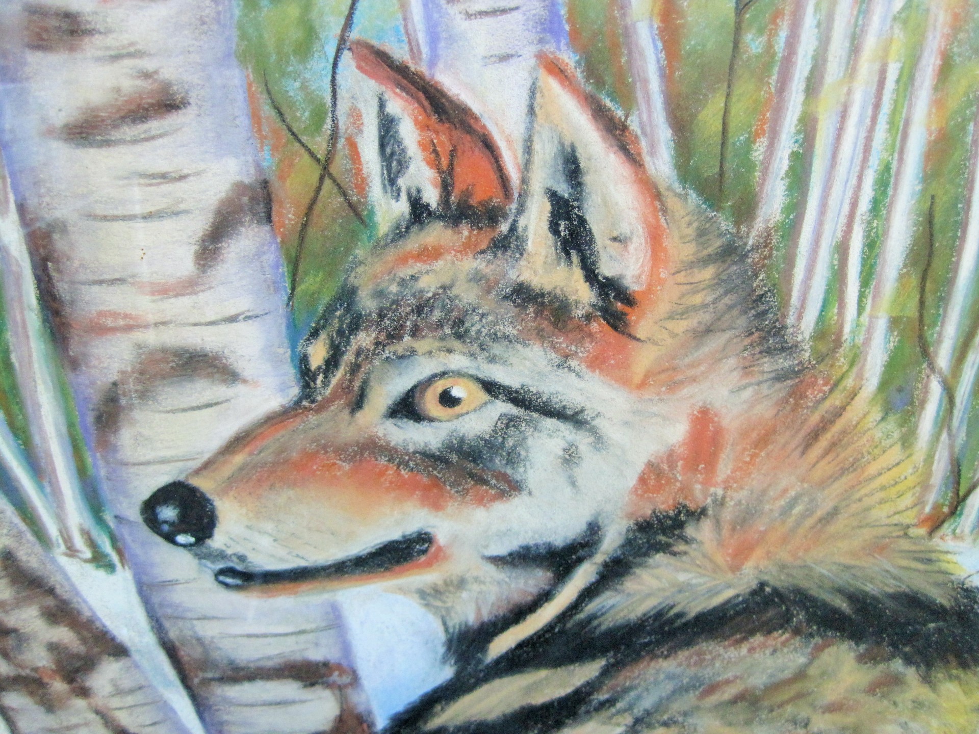 Wolf In Powder Pastel Free Stock Photo - Public Domain ...