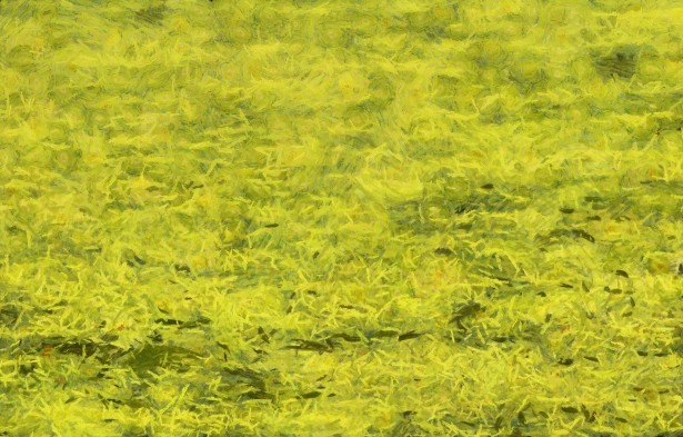 Grass Painted Background Free Stock Photo - Public Domain Pictures