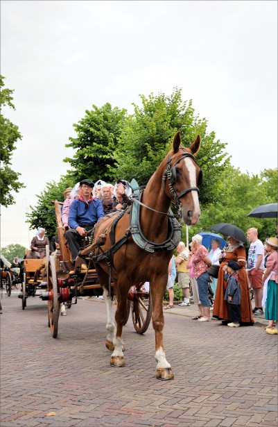 Traditional Carriage Free Stock Photo - Public Domain Pictures