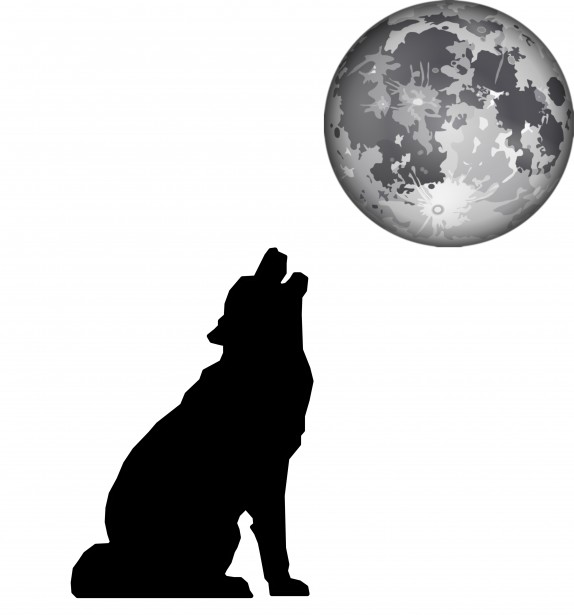 Wolf And Moon Free Stock Photo - Public Domain Pictures