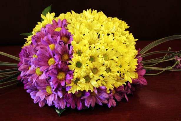 Flores amarillas y violetas Stock de Foto gratis - Public Domain Pictures