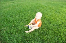 Bebis på gräs