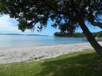 Красивый пляж сцены NZ