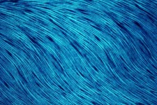 Blue Cloth Background 2