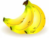 Wiązka bananów