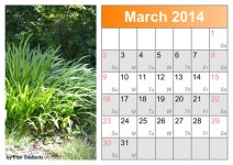 Calendário mês março 2014