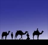 Camel Procession Silhouette