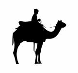 Jinete del camello Negro Silueta