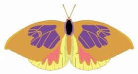 Cartoon butterfly