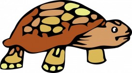 Desen animat Tortoise Clipart
